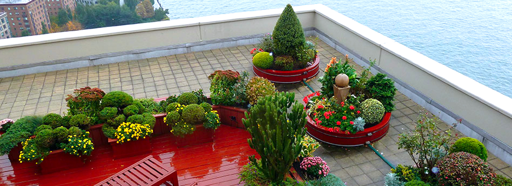 Rooftop and Balcony Gardens 